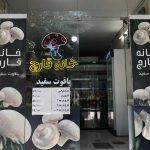 آموزش و راه اندازی سالن و فروش قارچ در اصفهان