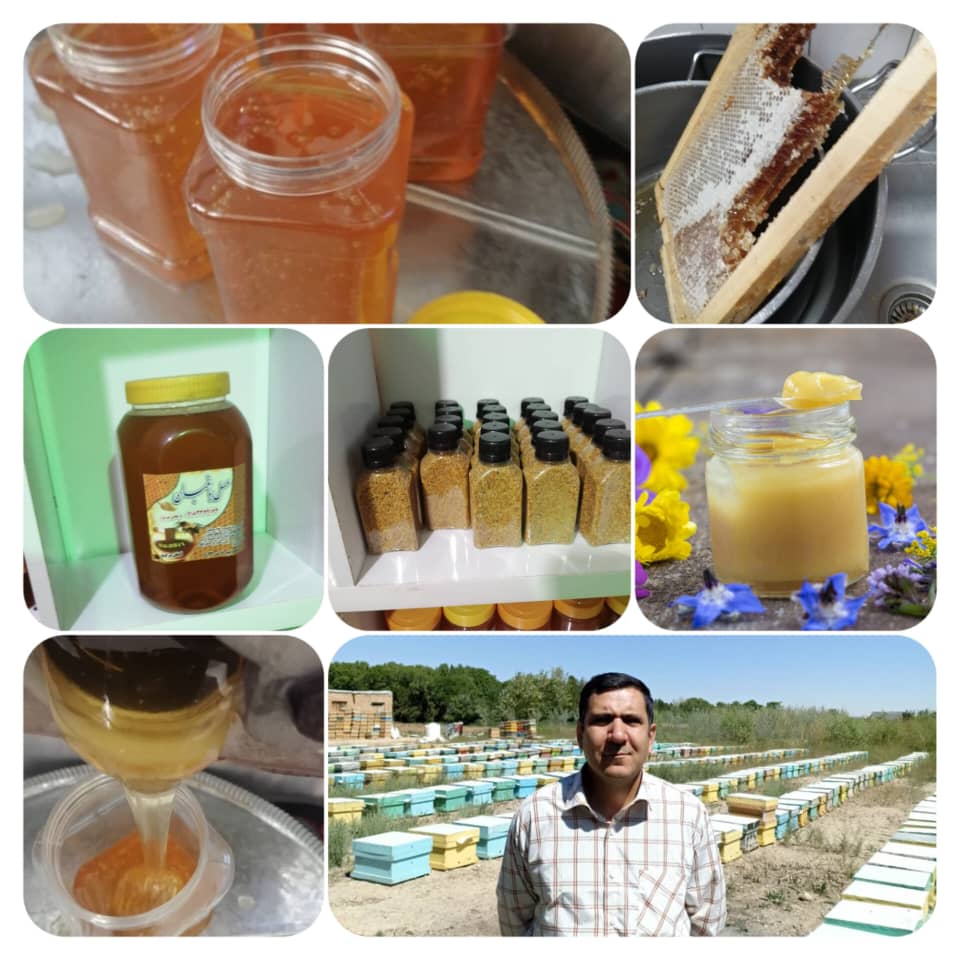 عسل باغبان | برترین تولید کننده عسل و پرورش زنبور عسل در اراک
