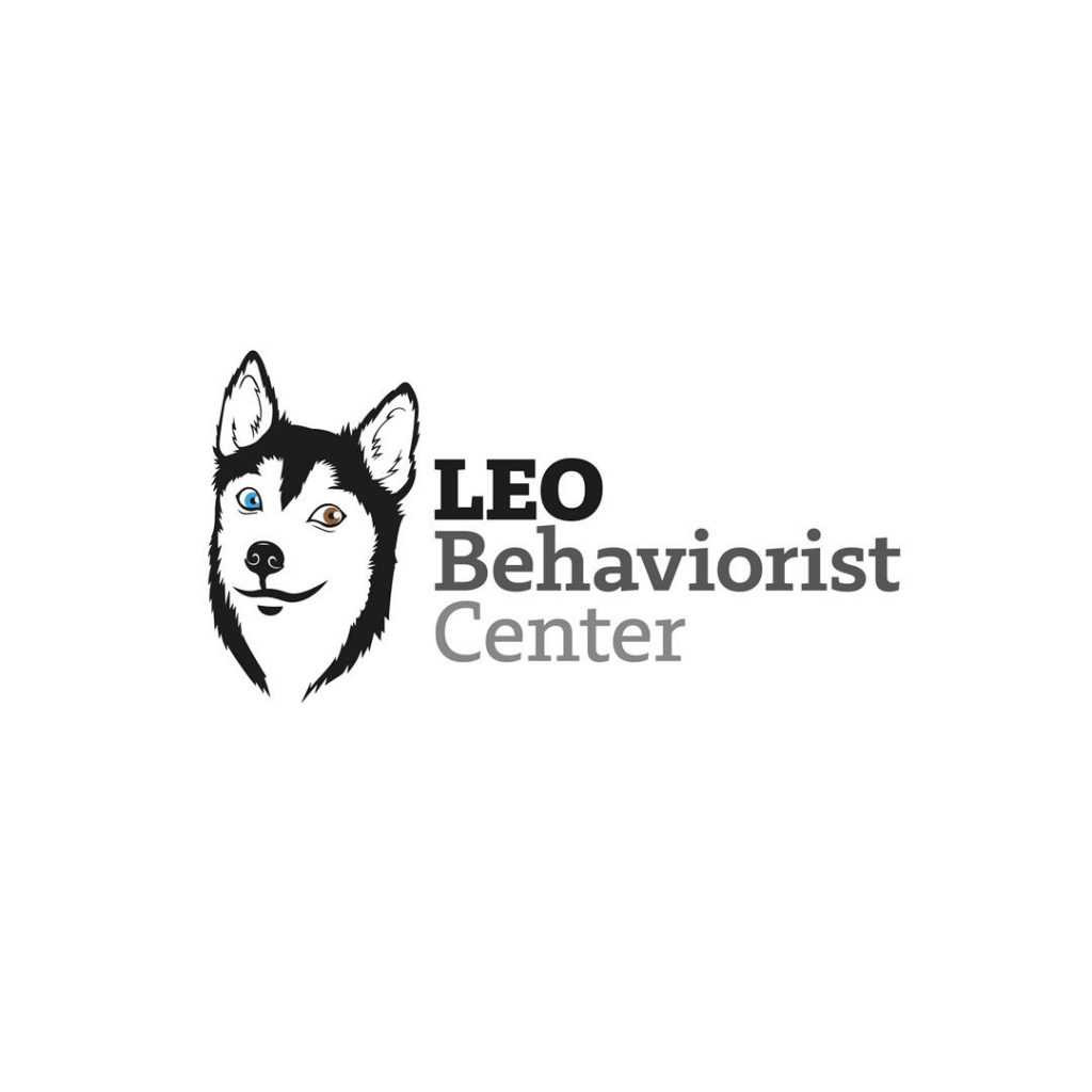 مجموعه رفتارشناسی سگ لئو در تهران