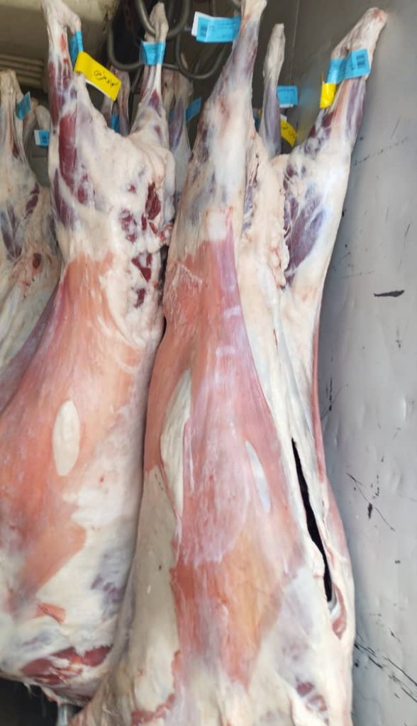 با کیفیت ترین قصابی حامد گوشت بره بومی در یزد