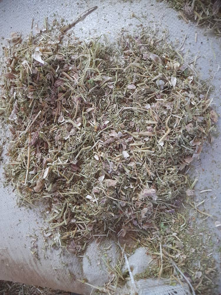 خرید فروش کاه گندم کاه لوبیا یونجه و گندم جو بسته بندی شده در خدابنده
