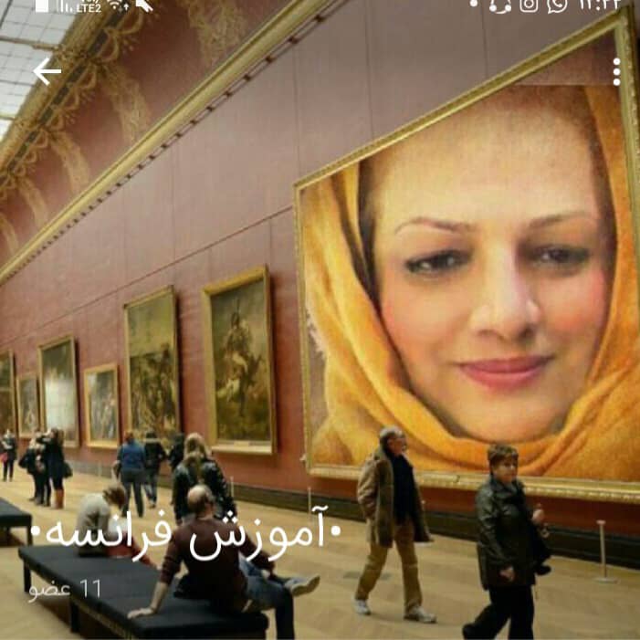 بهترین مدرس زبان فرانسه از مبتدی تا پیشرفته به صورت آنلاین در سراسرکشور