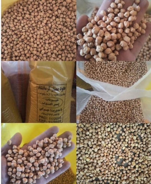 معتبرترین کارگاه بسته بندی نخود آبگوشتی و فلافلی در کرمانشاه