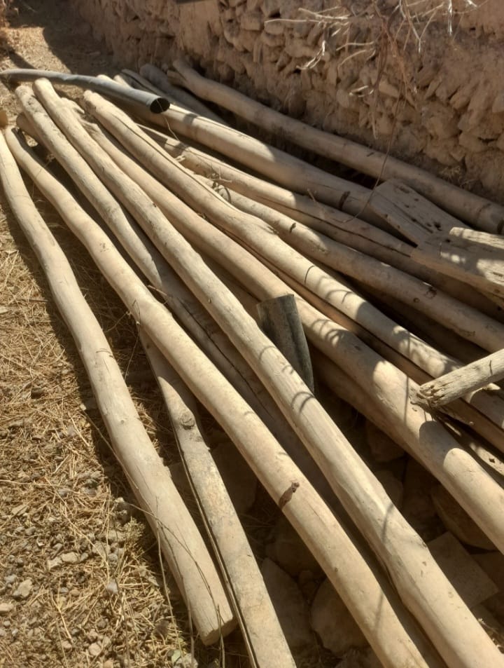 خرید و فروش ضایعات چوب و برشکاری انواع درخت در شهرکرد