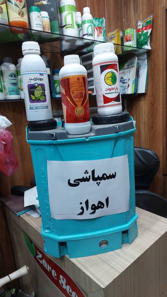بهترین خدمات تخصصی سمپاشی موریانه ساس و حشرات و جانوران موزی  کل اهواز