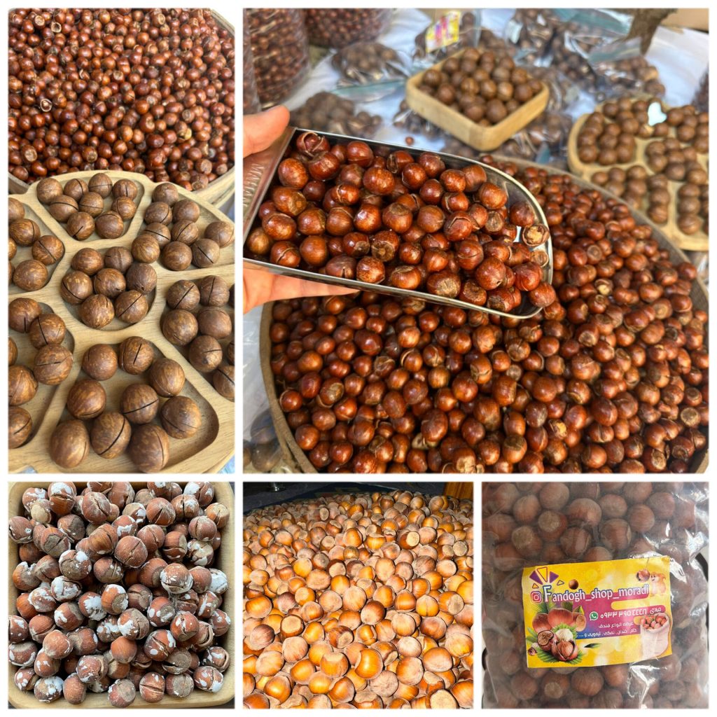فروش فندق ارگانیک اشکورات گیلان | خام خندان خشک لیمویی و نمکی در رودسر