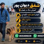 تربیت تخصصی سگ در غرب تهران | مربی سگ حرفه‌ای