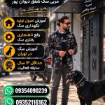 آموزش حرفه‌ای سگ در تهران و کرج | سگ حرف‌شنو ، صاحب آسوده